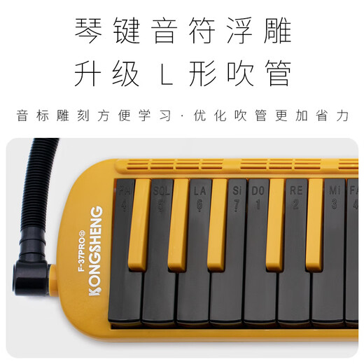 Kong Sheng Mouth Organ Student Children Classroom Teaching Adult 37 Key Professional Performance Grade Mouth Organ F-37PRO Black