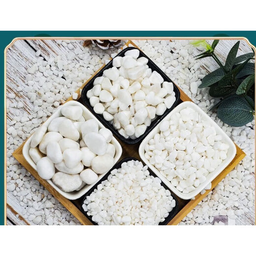 Runhuanian multi-succulent pavement stone flower cultivation small white pebbles pebbles rain flower stone fish tank landscaping potted courtyard paving 5Jin Jin is equal to 0.5kg fine snowflake white 1-3mm 1 capsule trial pack
