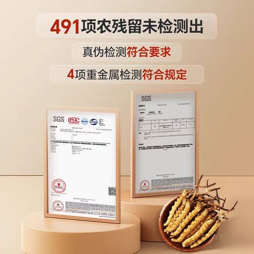 Zangzhiweng Высоко высокогорного кордицепса Summer Selection Первый сушеный кордицепс высококачественных пищевых подарочных коробок для старейшин и лидеров для клиентов 2 удочки/г в общей сложности 100 грамм [бизнес-подарок, отдых в качеством]