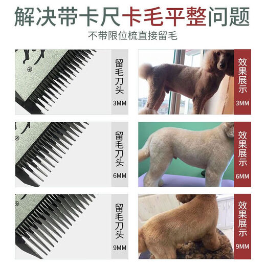 Lister dog shaver shaving machine pet shop special electric clipper electric clipper large dog teddy shaving dog hair X5 body with 1+3+6mm hair retaining head