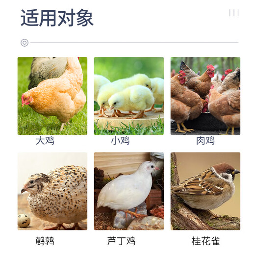 Yong Huan chick feed chicks open chicks chicken 521 half chicken feed wholesale medium chicken food premix 80 Zhengda 521 chicken feed 5Jin Jin is equal to 0.5 kg
