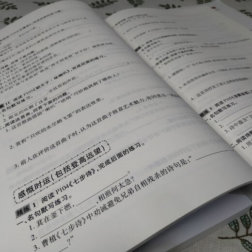 1591人好评新2022星空小升初古诗词252首文言文180篇4-6年级适用 22版252古诗词+精练本2本