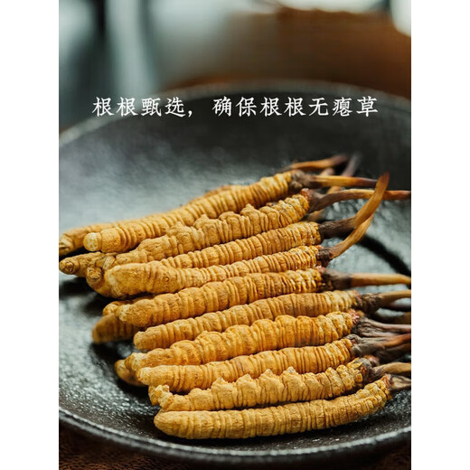 伊梵麦【产地批发】冬虫夏草 正宗新货虫草头期 冬虫草 断草 断 一根(体验装)
