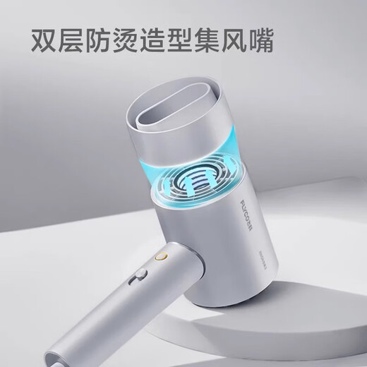 Flyco/Hair dryer for household high power high-speed dry negative ion hair care dormitory for students FH6310 Flyco FH6296 (light green) 1800W