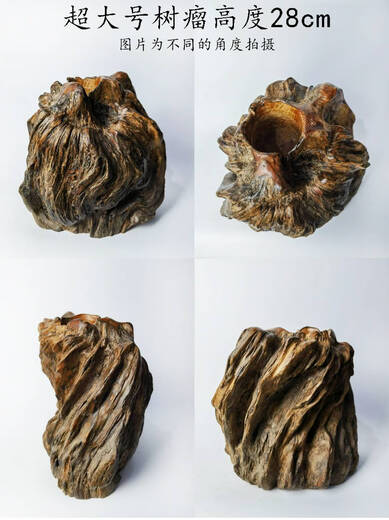 天然风化枯木木雕根雕微景观造景插花木头禅意树根摆件花艺水沉木 6296号沉木长约29cm