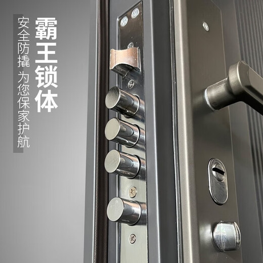 Fujiafu security door entry door steel door rental house door household safety door vent door entrance door single door mother door engineering door free installation 2250*1050 outward opening (package installation) mechanical lock
