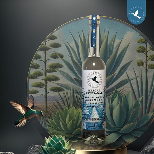 L'extraordinaire oiseau mezcal mézcal tequila tequila mezcal mexicain spirits importés 700 ml tequila mezcal sélectionnée à la main 700 ml