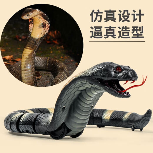 Célébrité Internet Remote contrôle Snake Simulate Cobra Décompression Artefact Boy Enfants Adult Animal Toy Girl Blanc Simulate Simulated Swattlesnake 9909+ Tournevis Deluxe Version avec 36 Electronics 36