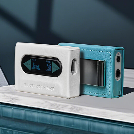 FiiO SK-RETRO NANO exclusive protective leather case blue