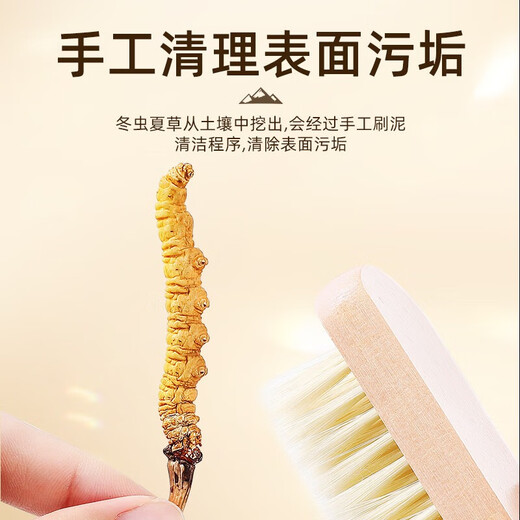 
Cordyceps sinensis, Nagqu, Tibet, Wild, Unbreakable Grass, Dried Cordyceps 5 pieces/g 20 pieces of Cordyceps health gift box