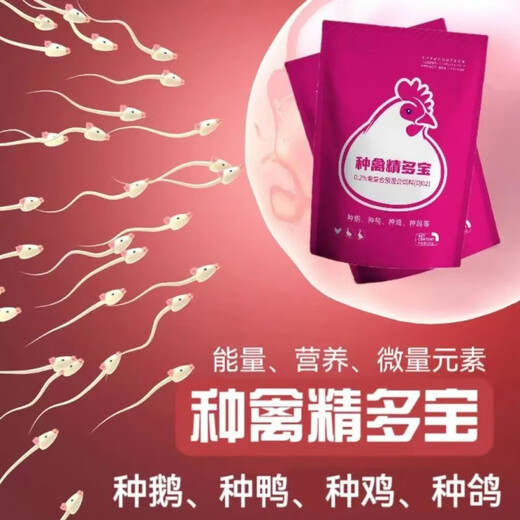 Chicken brand breeder breeder, duck breeder, goose breeder, pigeon breeder, egg-increasing parrot to increase fertilization rate, bird-specific vitamin premix white egg, 500g breeder bird essence Duobao, increase rate