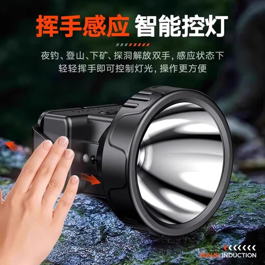 飞利浦感应头灯钓鱼夜晚作业SFL1342RH专用头戴夹帽户外超长续航 SFL1342RH官方标配赠充电器