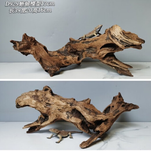 Lizard de león con múltiples mascotas sube 30-80 cm Guardias de reptiles de madera para evitar ramas de rana de árboles decorativas paisajismo H1047 Calidad
