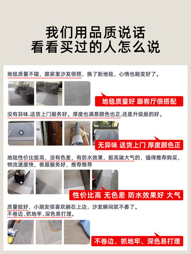 
Living room floor mats are free to wash and easy to handle non-slip carpet Living room 2025 new light luxury high-end room bedroom erasable 16779 1cm 1m 300*400cm Thickened model whole piece*