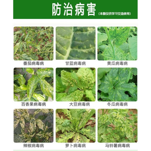 Super Brilliant 20% Morguanidine Copper Acetate Tomato Tobacco Virus Disease Morpholine Hydrochloride Copper Acetate Pesticide Fungicide 1000g