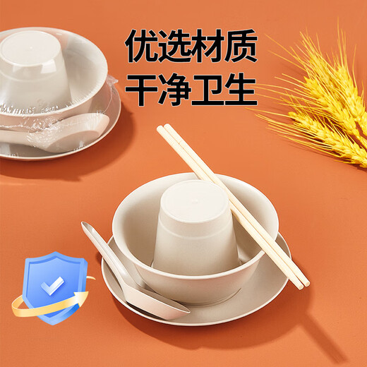 SHUANG YU disposable tableware five-piece set * 20 servings bowls, chopsticks, cups, plates and spoons outdoor picnic individually packaged
