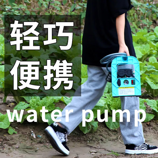 aolalbom奥莱邦12V充电式抽水泵电动小型家用抽水机自动浇菜神器浇水机 A826续航王+10米管 产品清单在第二张主图