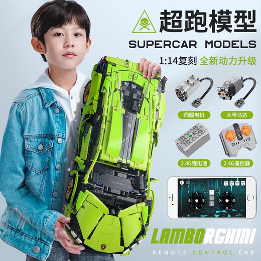 2025新款积木兰博基尼跑车赛汽车布加迪遥控生日礼物拼装玩具男孩 布加迪【1355颗粒】静态版 亏本