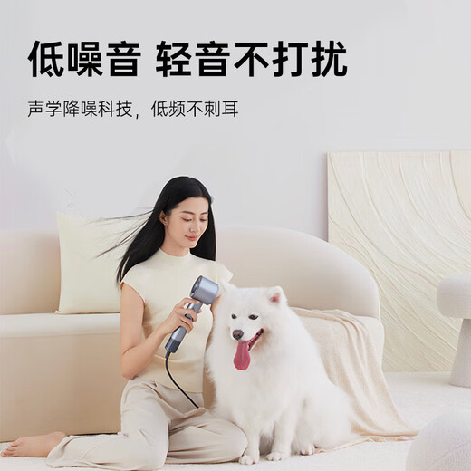 KEHEAL national subsidy Kesi high-speed hair dryer 3.6 billion plasma hair care power generation hair dryer household negative ion hair care quick-drying hair dryer recommended gift HC5 Silver Moon White