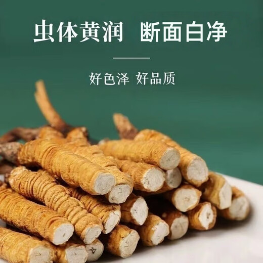 Cordyceps sinensis large broken grass Tibetan area high-quality cordyceps self-eating discount on the same day shipment 2025 head-off cordyceps Tibetan area high-quality large broken grass 20 grams pack