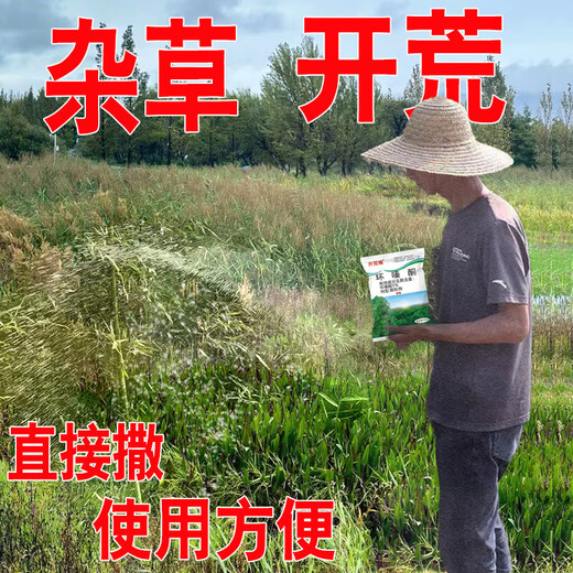 Cyclazinone is a special medicine to remove dead trees and rotten roots of large trees. Herbicide is a special medicine to remove big trees and remove rotten roots of bamboo. Genuine Cyclazinone 2Jin Jin is equal to 0.5kg