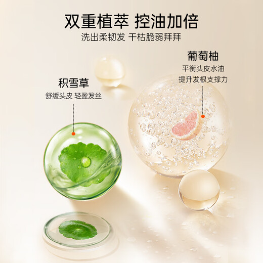 滋源控油蓬松洗发水去屑止痒洗发露无硅油男女洗头膏500ml