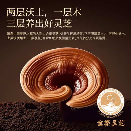 芝正元三萜＞15% 端午节 礼盒 破壁灵芝孢子粉提高免疫力老人保健品礼物 【季套餐-3礼盒】周期改善身体-60%客户选择
