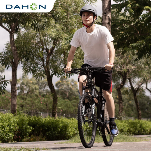 大行（DAHON）26寸27变速碟刹折叠山地自行车成年人男女山地车XAA673M 消光黑 26英寸  26英寸