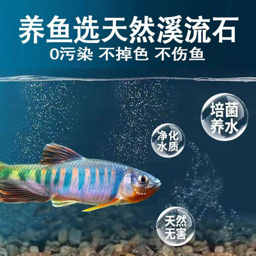 Stream stone ultra-fine bottom sand fish tank turtle tank bottom sand stream sand bottom stone fish tank landscaping stone native stone 3 to 5 cm 30 Jin Jin is equal to 0.5 kg.