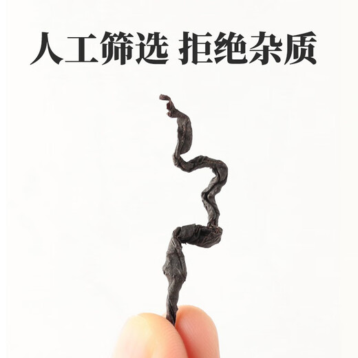 500g青钱柳茶正品特级野生古树嫩芽无糖养生茶金钱柳绥宁青钱柳 青钱柳【3罐】共750克 优质无硫