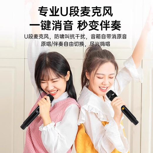 NINTAUS Square Dance Audio High Volume Subwoofer Mobile Outdoor Karaoke Bluetooth Trolley Microphone Speaker Amplifier Wireless Microphone Stall Speaker Professional Edition Large 8-inch Speaker + No Microphone Version