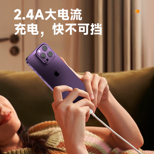 Biyaz convient à 0,3 m de banque d'alimentation PORTABLE Câble de charge portable Câble de données Apple Câble de charge rapide Iphone14 / 13/12/11 / XS / XR / SE / 8 / 7IPADAIR
