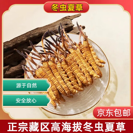 Selected authentic snow mountain cordyceps sinensis genuine first-stage fresh cordyceps 50g gift box for 4 pieces/gram dry goods Tibet Nagqu Cordyceps 50 pieces for 4 pieces/gram