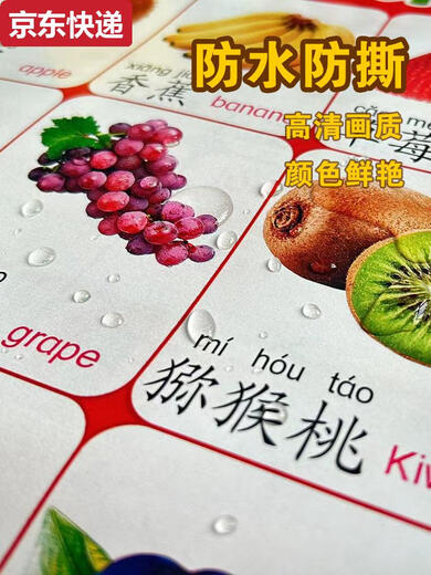 
Pool example children's learning to recognize words wallpaper silent physical objects single wall hanging pictures baby literacy poster sticker package Fun hole books 6 books