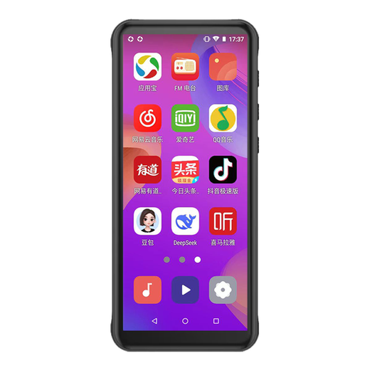 Ruizu Z80 mp3/mp4 music player, national supplement, WiFi Internet access, mp5 lossless walkman, 4-inch touch screen, 1080P HD video player, e-book reader