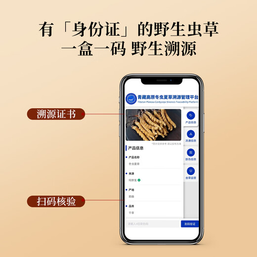 半山农【野生】冬虫夏草3-4条/克 1克 西藏那曲虫草 送长辈滋补营养品