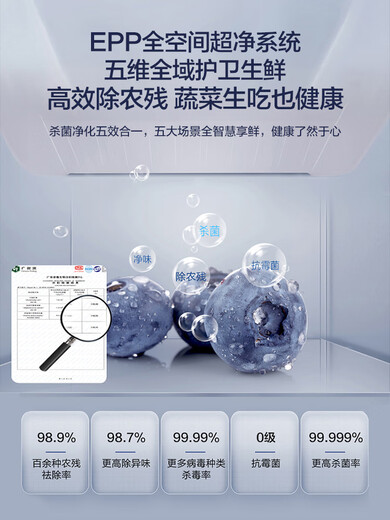 海尔（Haier）BCD-655WGHTD9DG9U1冰箱655L大容量十字对开门四门 深空灰655升十年压缩机延