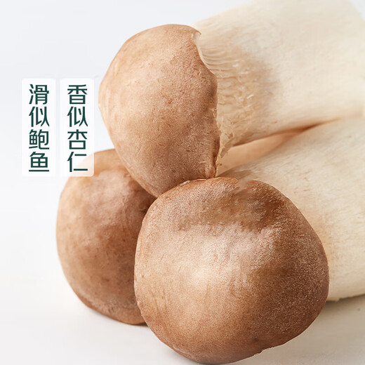 King oyster mushroom about 250g