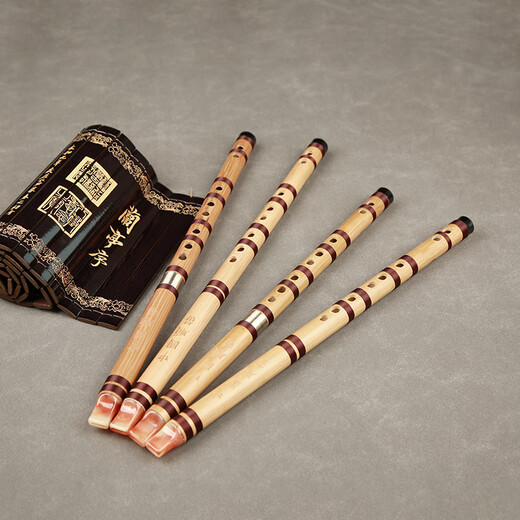 
Qinyin elementary and middle school students recorder without film 6 holes FG tune Chinese Shun Die Six holes children's performance beginner ethnic musical instrument Chinese Shun Die F complete (plastic mouth)