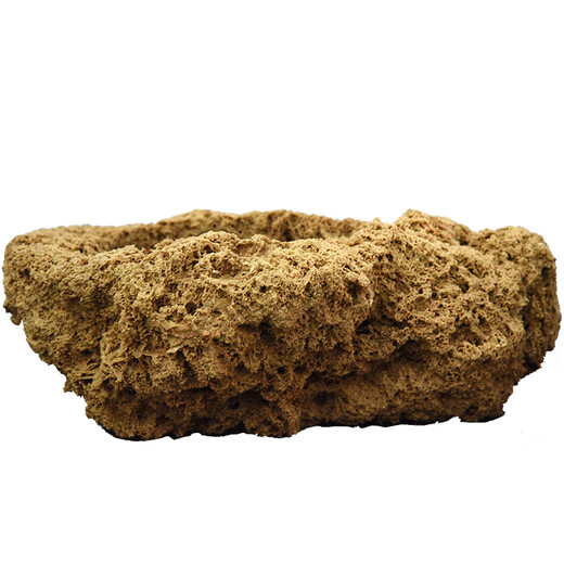 Stone flowerpot absorbs water, water-stained stone, original stone, natural flowerpot with asparagus, bamboo, calamus, succulent plant micro-landscape pot, 13-17cm stone pot + golden calamus package 2