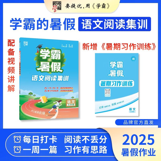 2025经纶学霸的暑假衔接一升二升三升四升五升六语文阅读集训数学计算思维题大通关人教苏教北师版总复习预习12345年级暑假作业 【3册】阅读集训+计算大通关+思维大通关【人教版】 五升六