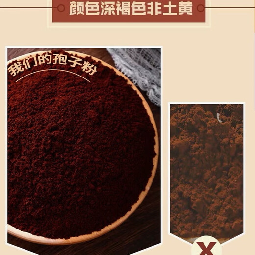 Changbaishan Linzhi Bun Pulver Ganoderma lucidum spore pulver verstärkt Ganoderma lucidum spore Wald 250 g 1 Flasche Ganoderma lucidum sporenpulver