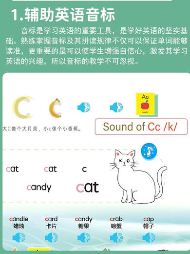 笑炎儿童26个英文字母点读书幼儿早教英语单词学习机中英双语有声绘本 26个英文字母点读书--充电