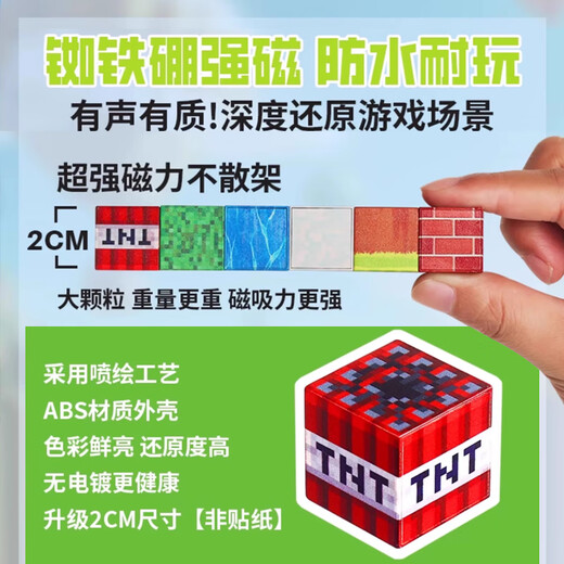 Danmiqi Magnetic Building Blocks My World Magnetic Square Building Blocks Large Grain Children's Toys Gifts for Boys and Girls 3-6 Years Old