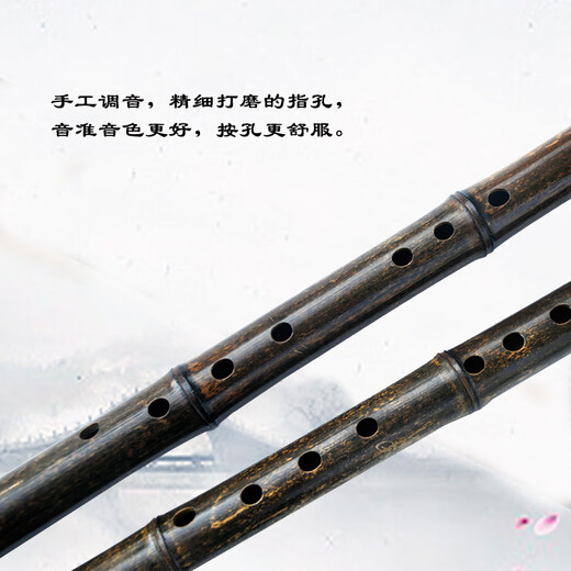 管子先生特制九节紫竹洞箫精品八孔六孔GAFE调精品演奏萧乐器 6孔F素箫