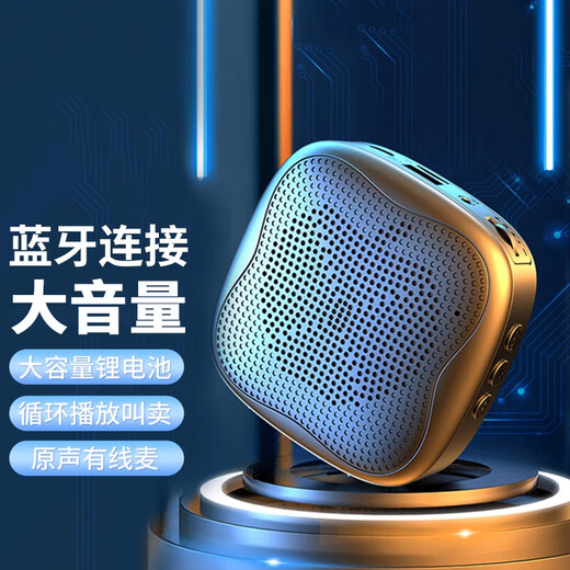 Yalanz Bee Amplifier Teacher's Special Bluetooth Speaker Audio Small Speaker TF Card U Disk Recording Microphone High Volume Outdoor Tour Guide Portable Megaphone H1 Black Super Large Volume + Card U Disk + Recording + Bluetooth