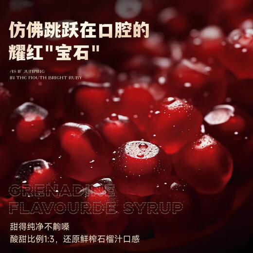巴一戈尔MRPLAY红石榴风味糖浆调酒必备单支500ml