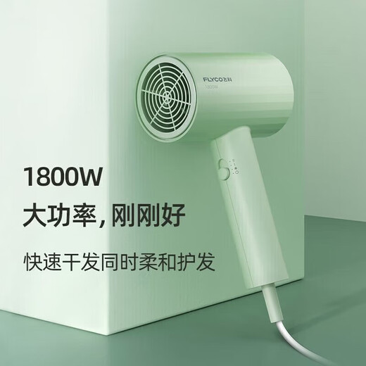 【9成新】飞科（FLYCO） 电吹风机 千万级负离子 【恒温速干】三挡调节 360°可旋转集风嘴 家用家用宿舍学生 FH6296 绿
