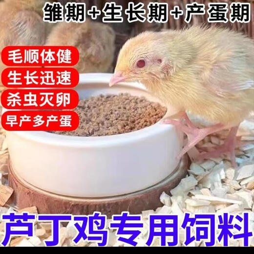 Rutin chicken special feed Rutin chicken egg production feed mealworm brooding feed quail feed high protein 2Jin Jin equals 0.5 kg brooding food containing mealworms dried vegetables