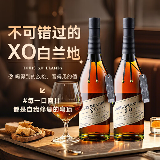 加兰帕斯法国洋酒40°烈酒XO白兰地桶藏十年微醺白兰地双支700mL*2
